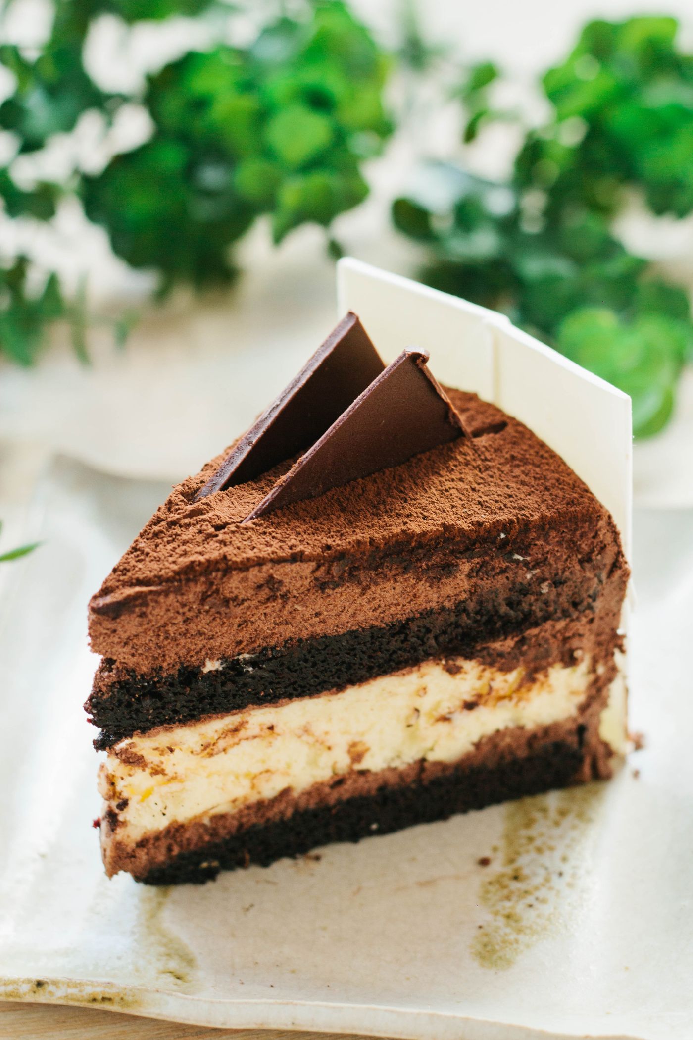 Cake